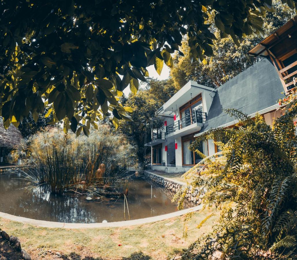 Tagua Lodge Tena Exteriér fotografie