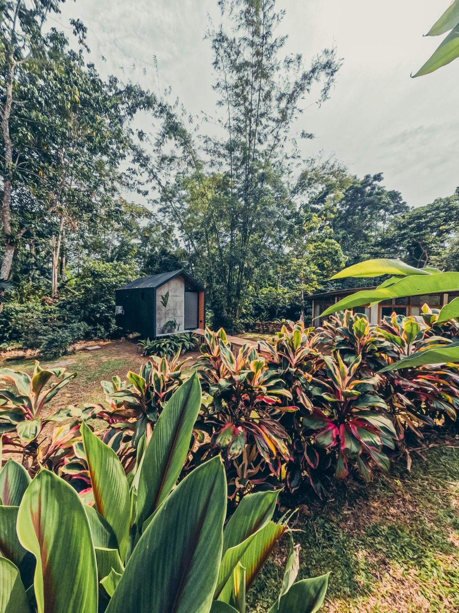 Tagua Lodge Tena Exteriér fotografie